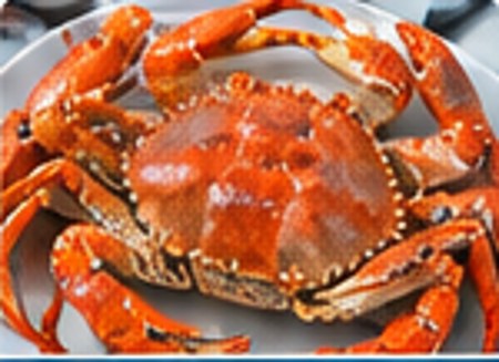 Crab
