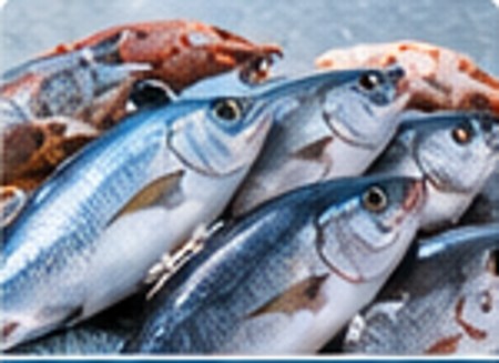Assorted fish